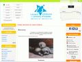 Aperçu de : Lezard creatif EB - Images, outils en ligne